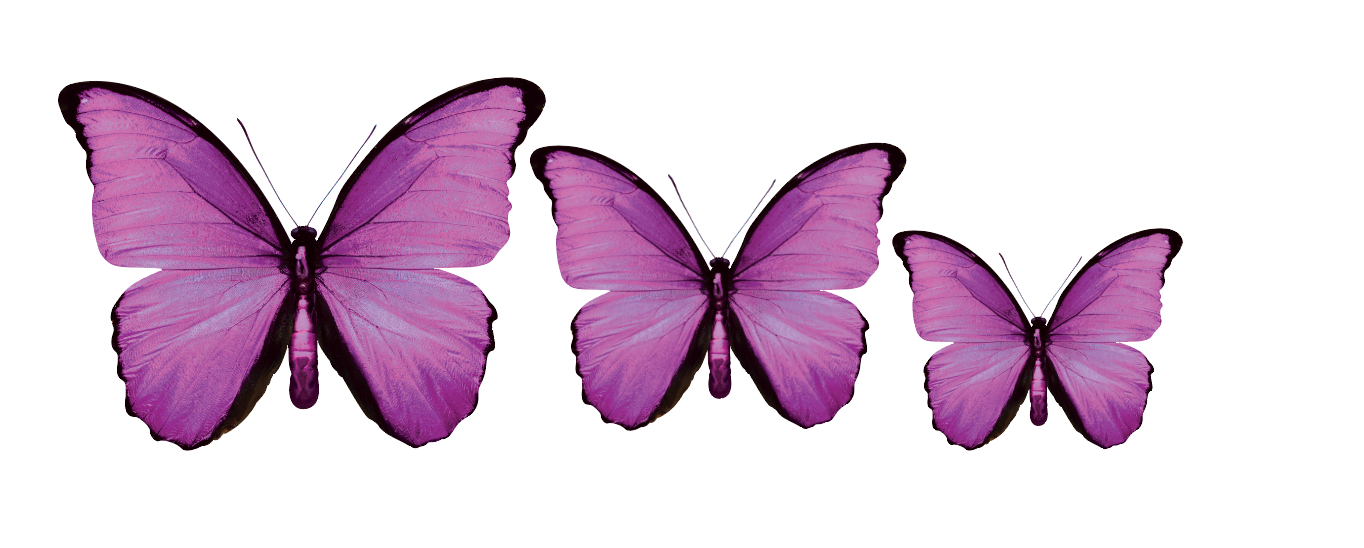 PALC-05 CIRCA 3D Butterfly Acrylic Prints Set of 3