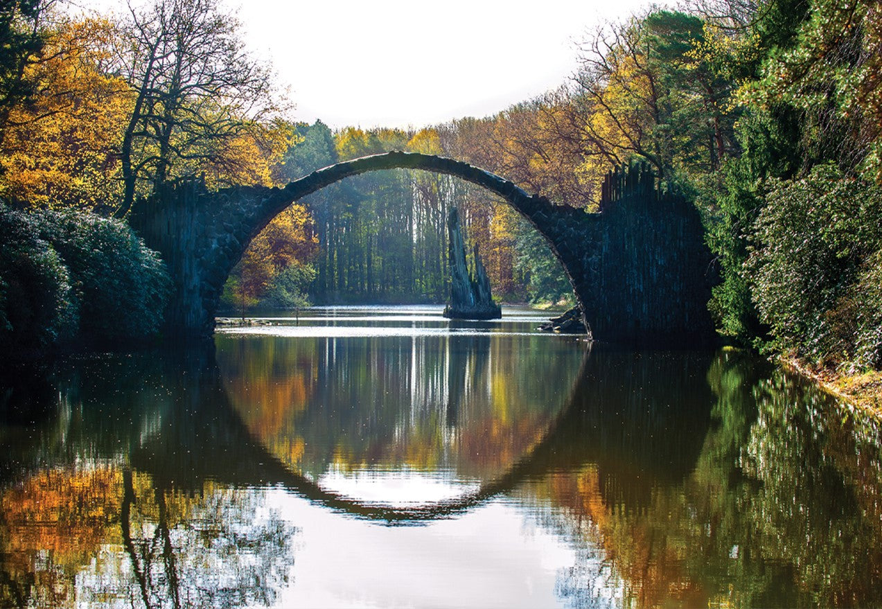 TRANQUIL Forest Lake View Modern Wall Art TG