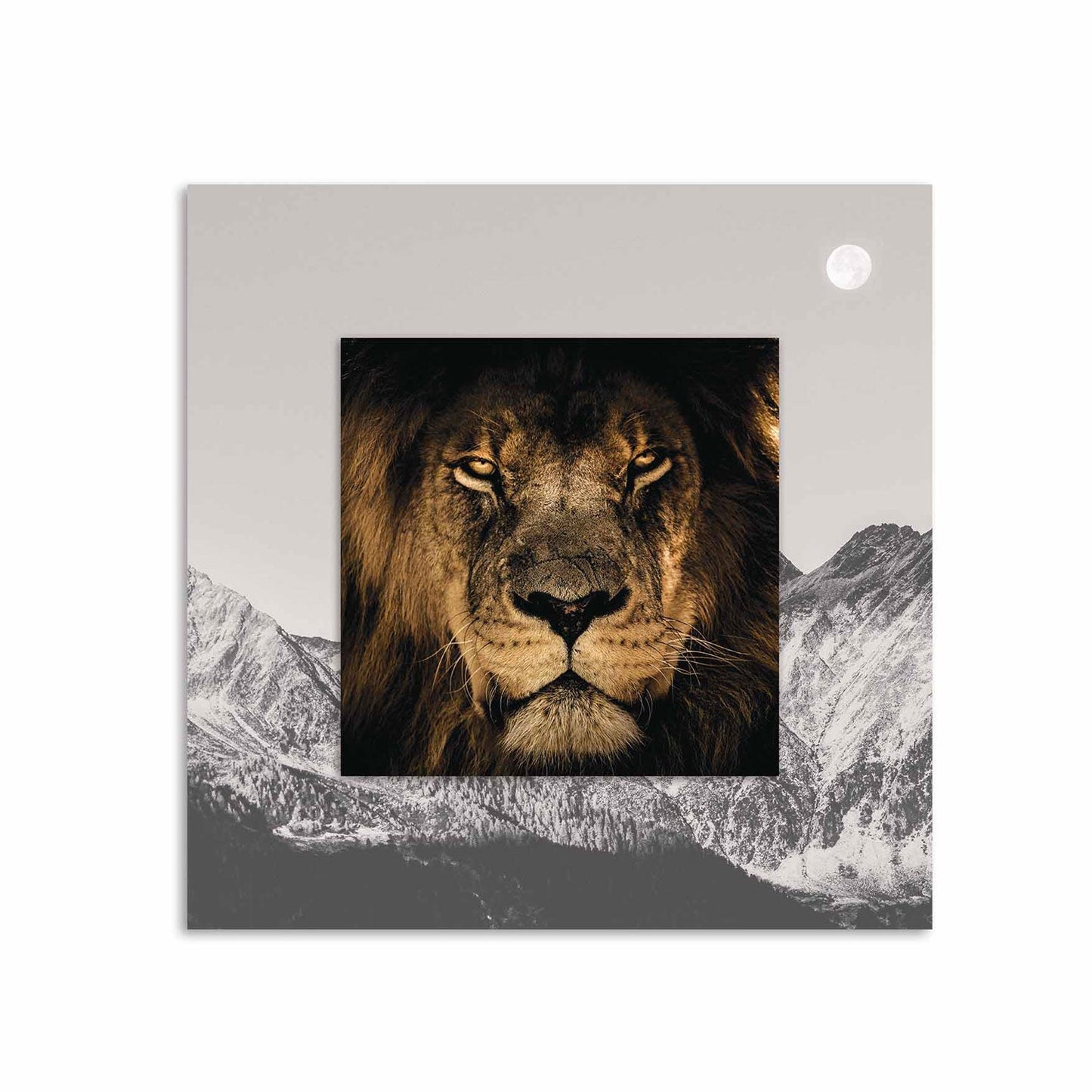 JARON Lion with Background Miniature Fine Wall Art TG