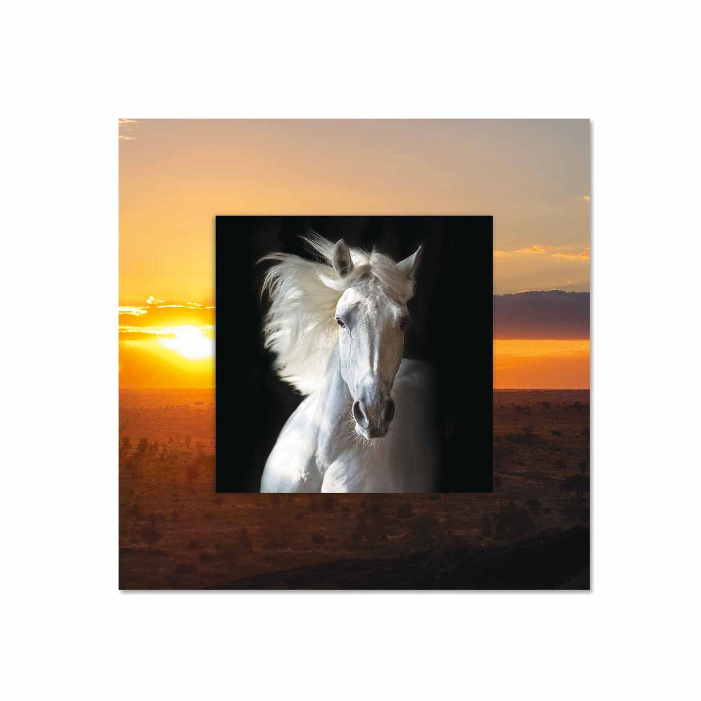 XENTOR White Horse with Background Miniature Fine Wall Art TG