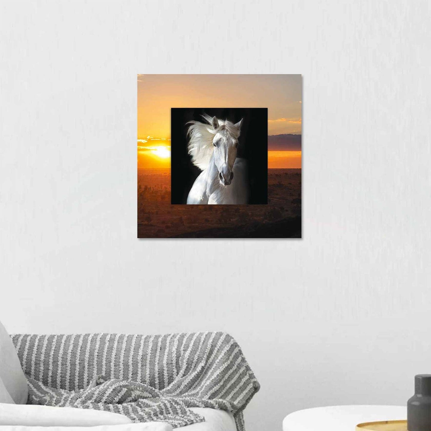 XENTOR White Horse with Background Miniature Fine Acrylic Wall Art