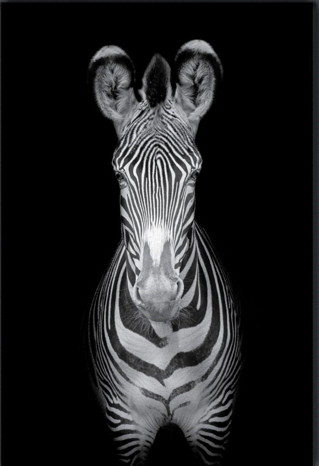 NC-38 GREVY Zebra Mono Modern Acrylic Wall Art