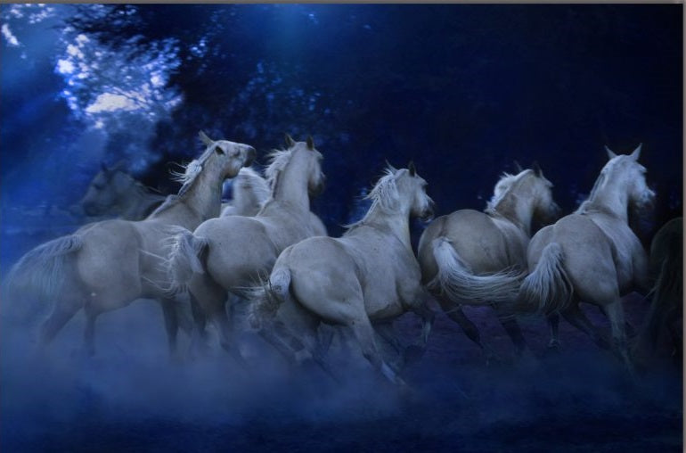 NC-40 EQUINE Horse Running Modern Acrylic Wall Art