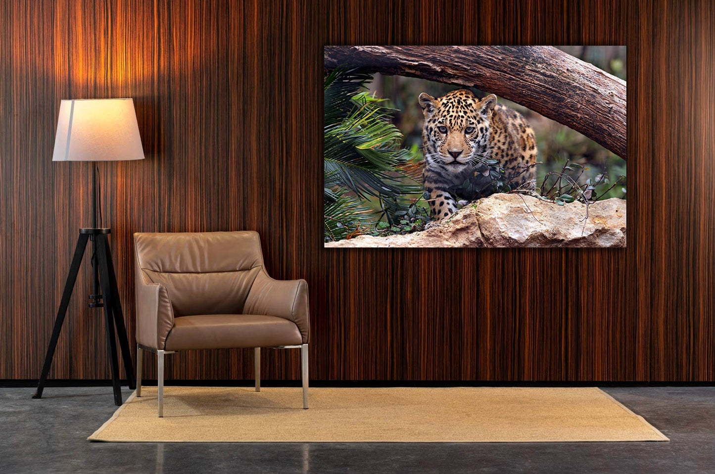 NC-43 SAFARI Baby Jaguar Modern Wall Art TG