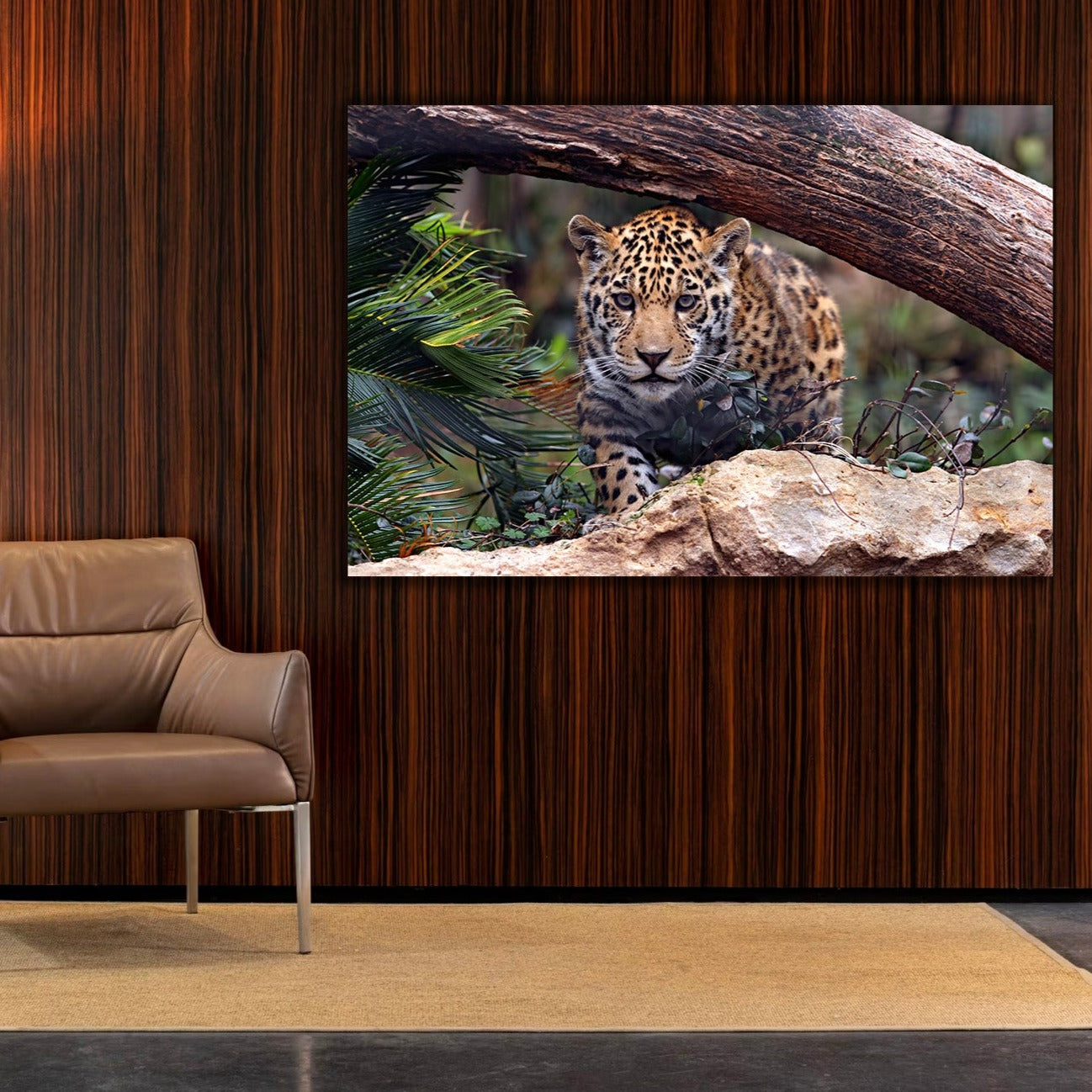 NC-43 SAFARI Baby Jaguar Modern Wall Art TG