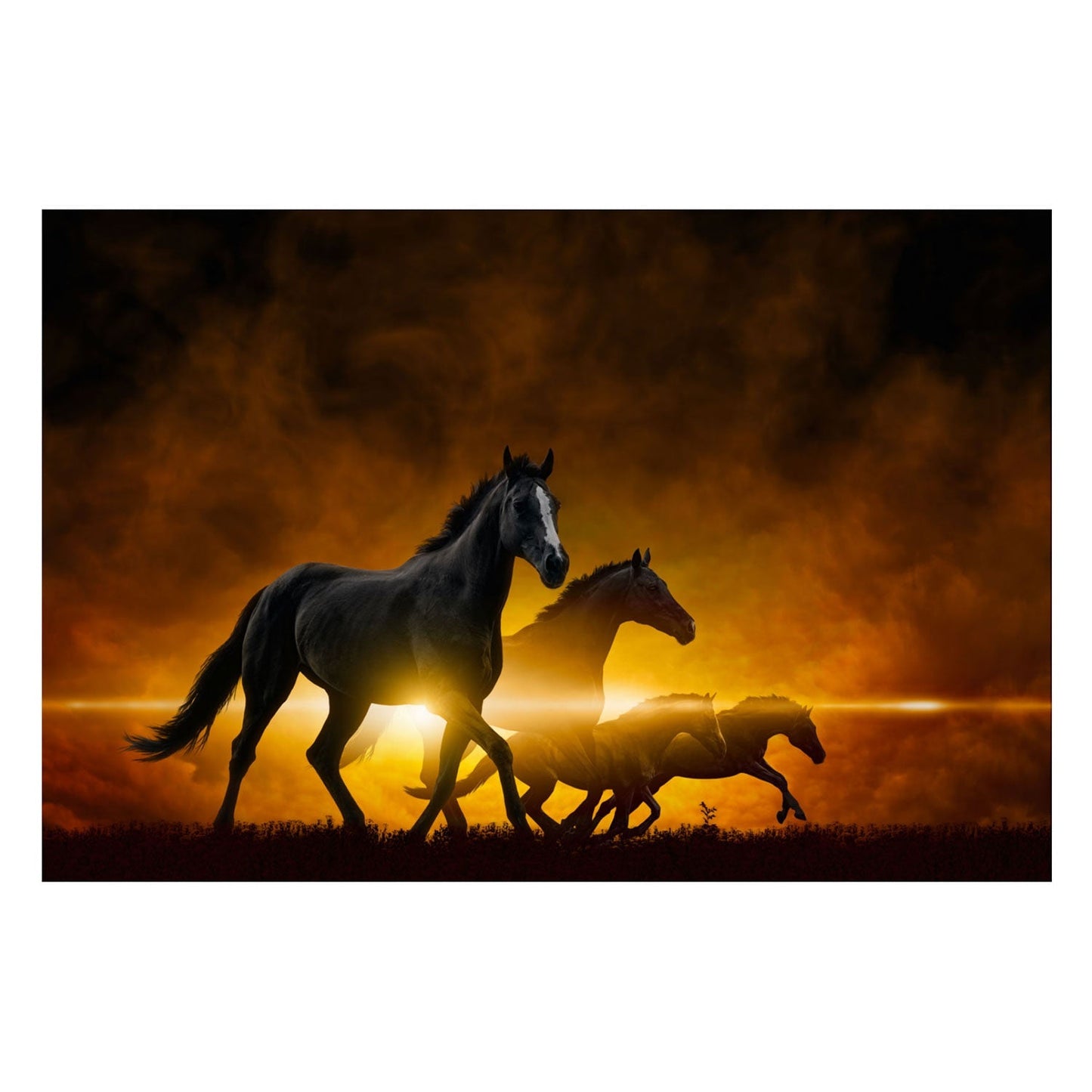 PA-2003 ROOK Four Horses Acrylic Wall Art Print