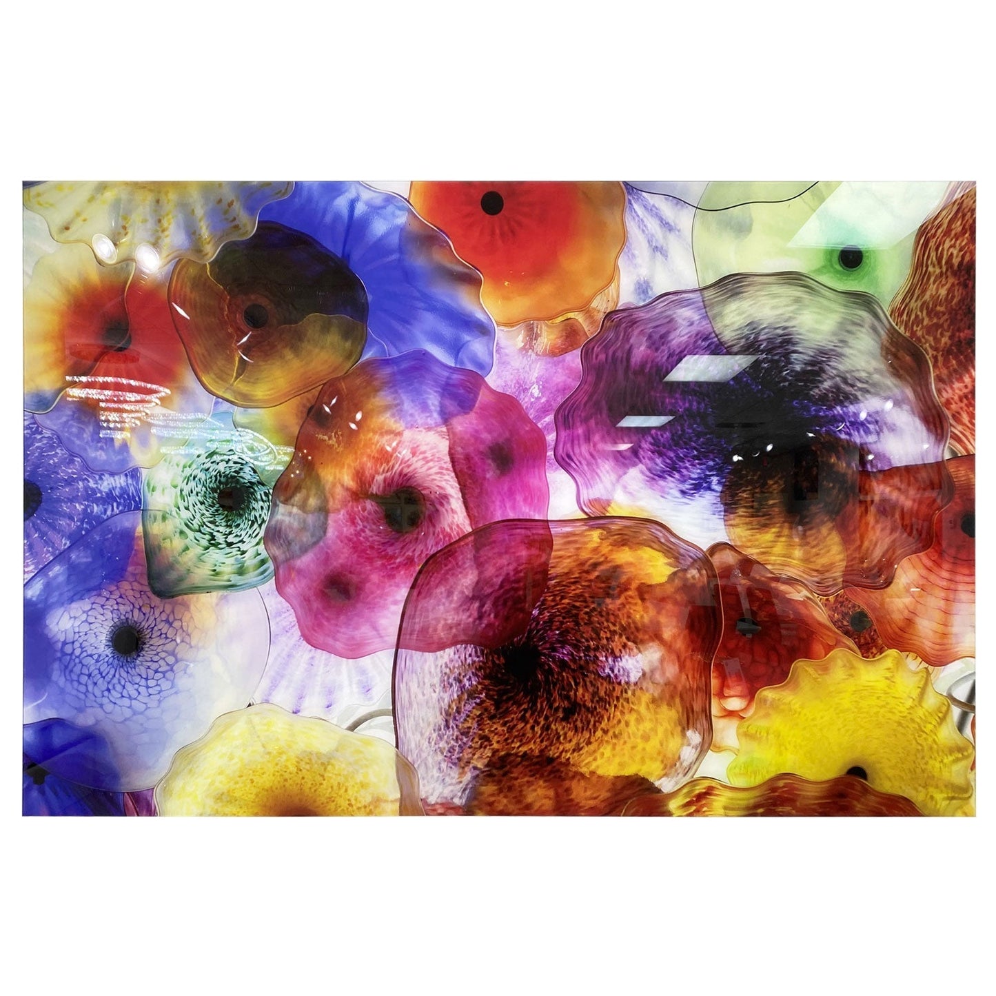 SU-22806 JELLYFISH Glowing in the Dark Wall Art Print TG