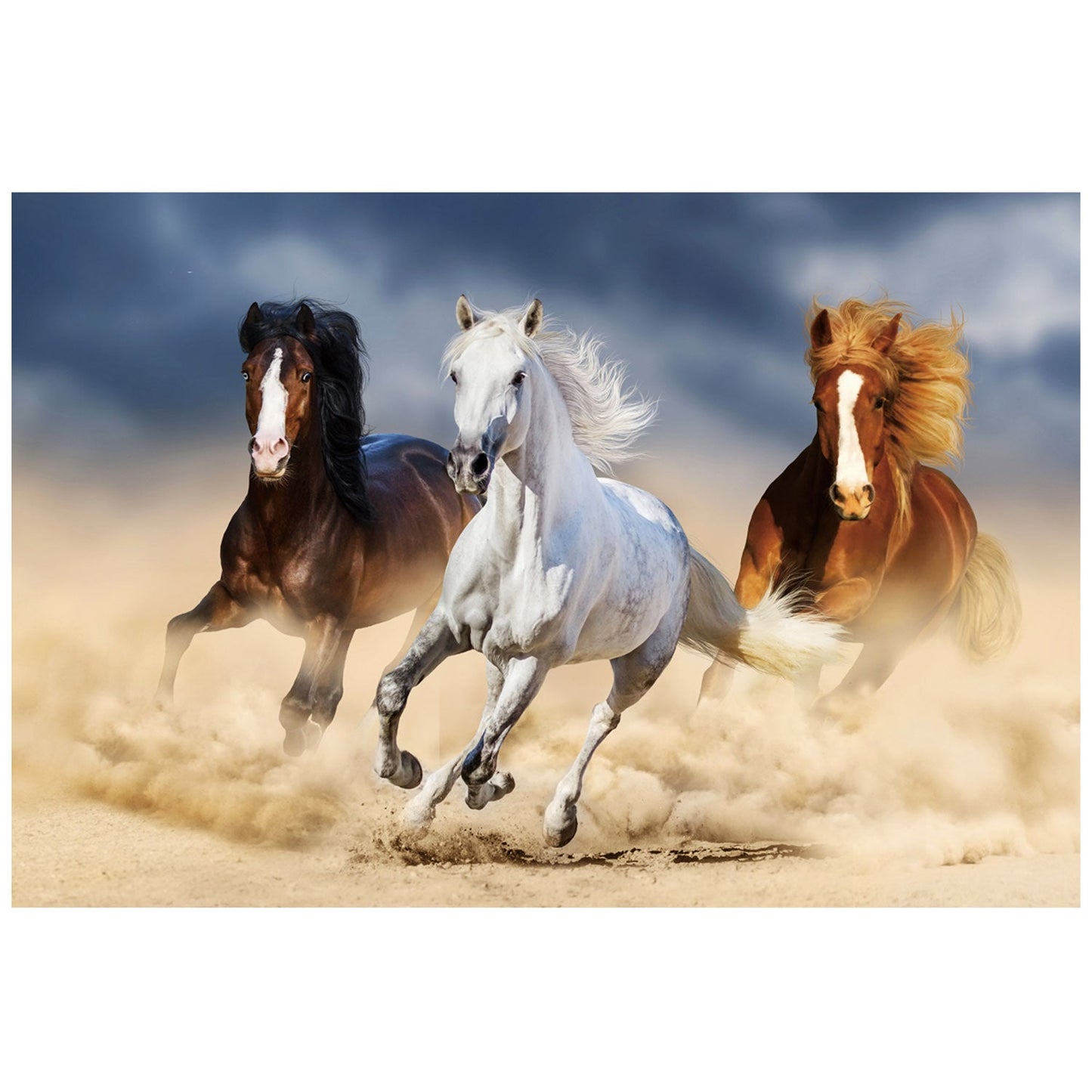 SU-61719 FAWN Horses on the Run Wall Art Print TG