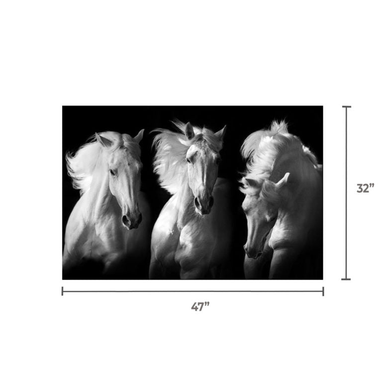SU-62038 RAYE 3 White Horses Acrylic Wall Art Print