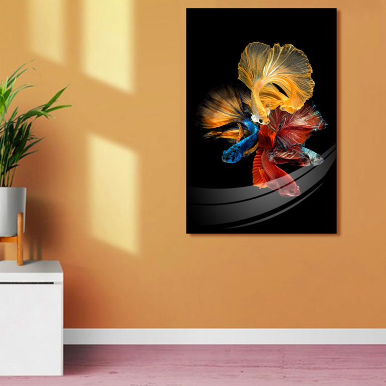 SU-62073 BETTA Long Fin Fish Acrylic Wall Art Print