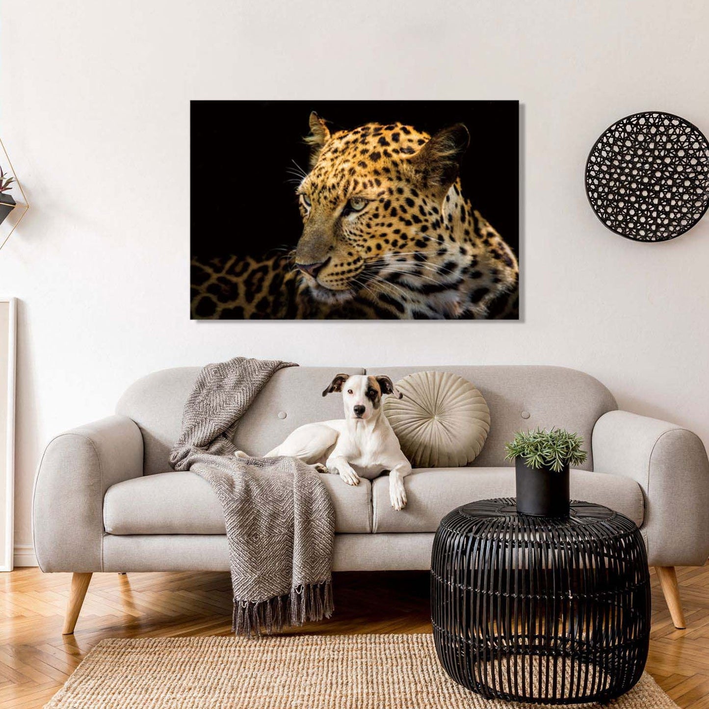 RAYNE Focused Leopard Tempered Glass Print