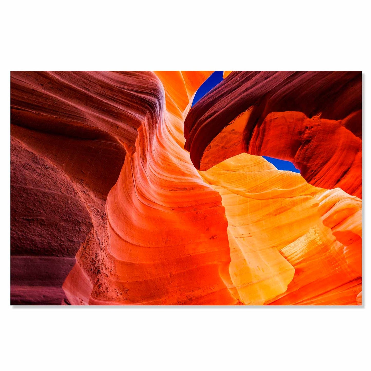 SU-82010 VEXION Antelope Tempered Glass Print