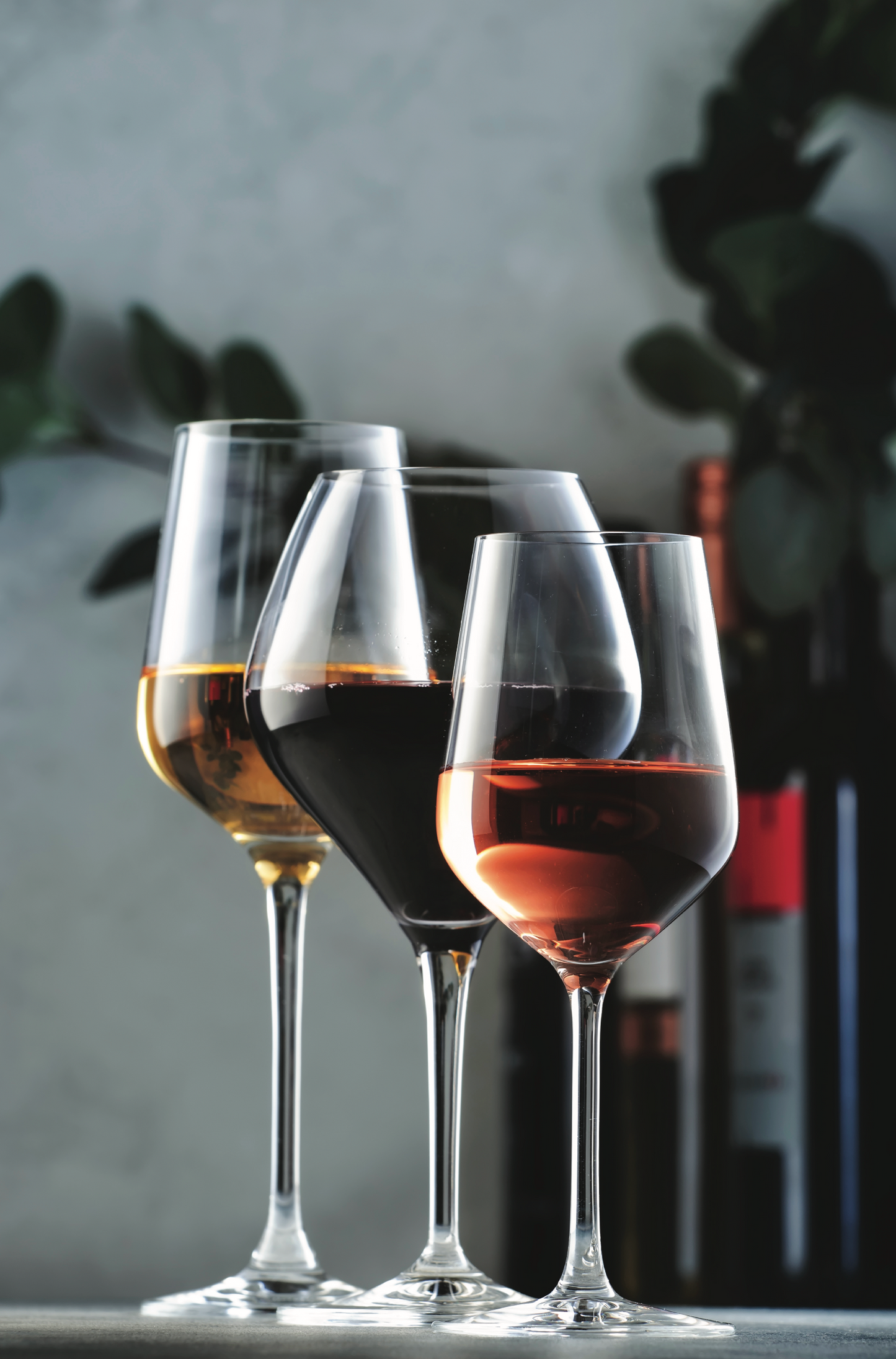 NC-48 TUSCANY Wine Wall Art Print