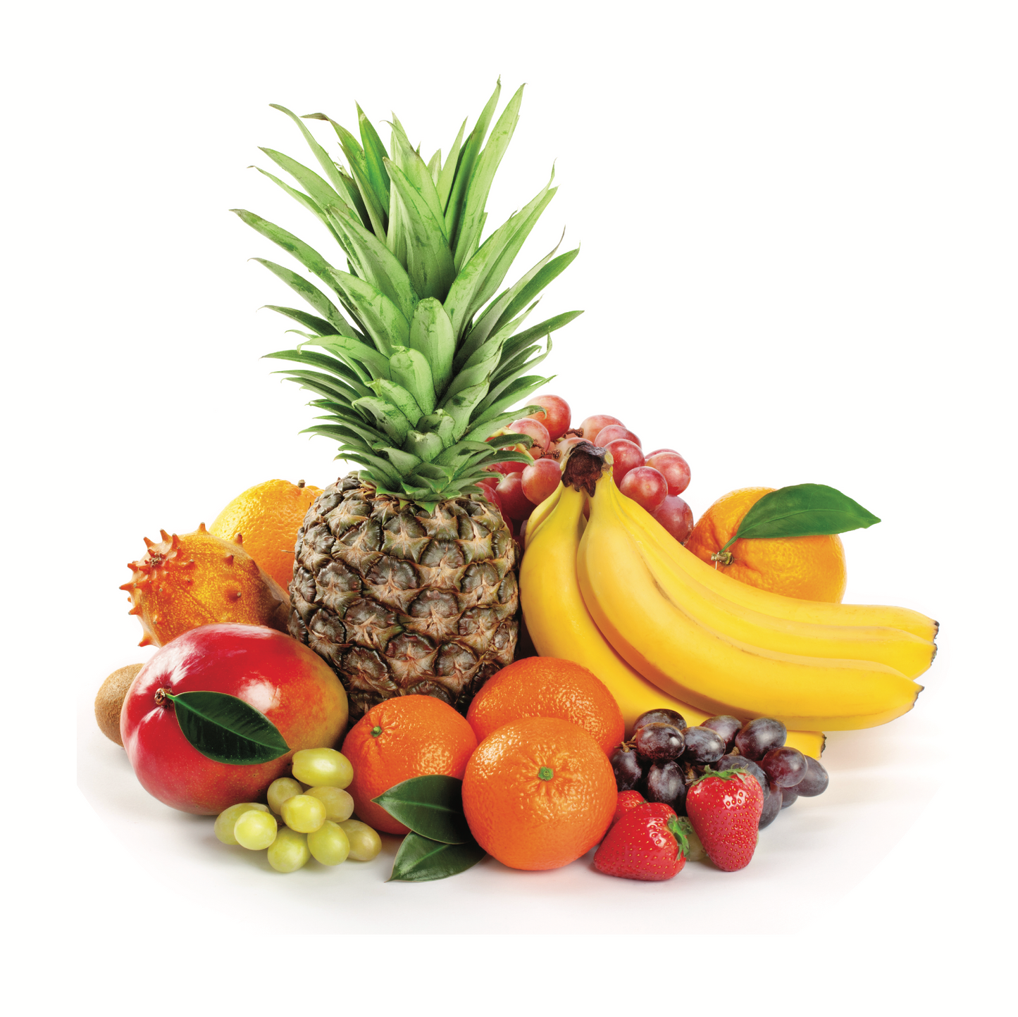 NC-58 CITRIC 2 Fresh Fruits Wall Art