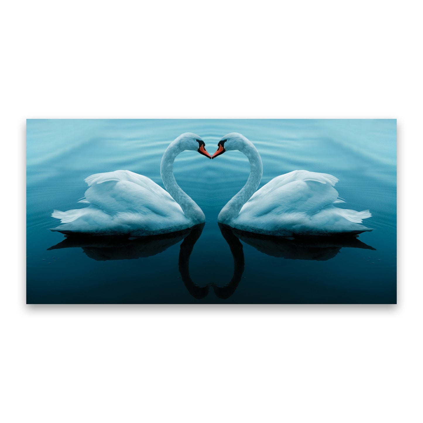 SWAN Whispers of Love Modern Wall Art TG