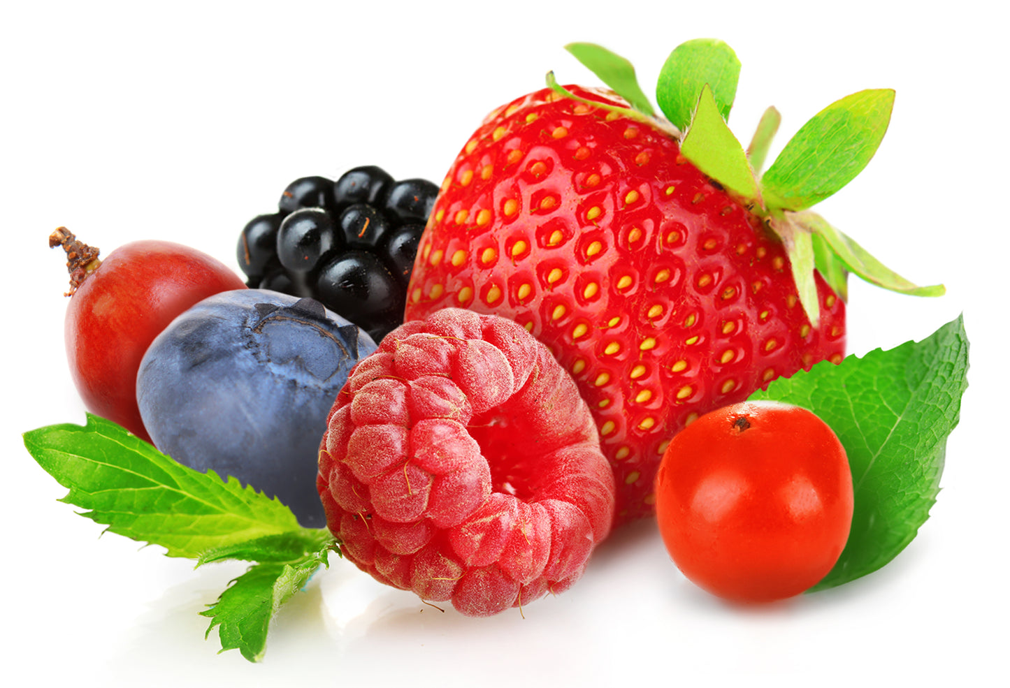 NC-59 CITRIC 3 Fresh Fruits Wall Art