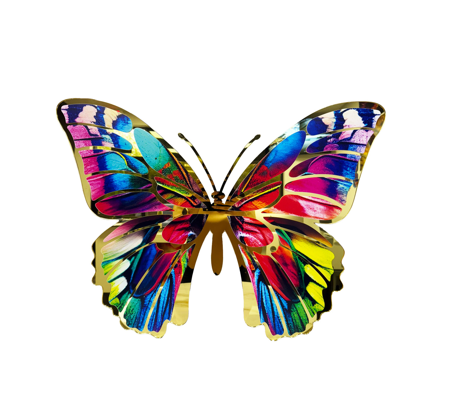 B-10 BUTTERFLY MIRROR DECOR