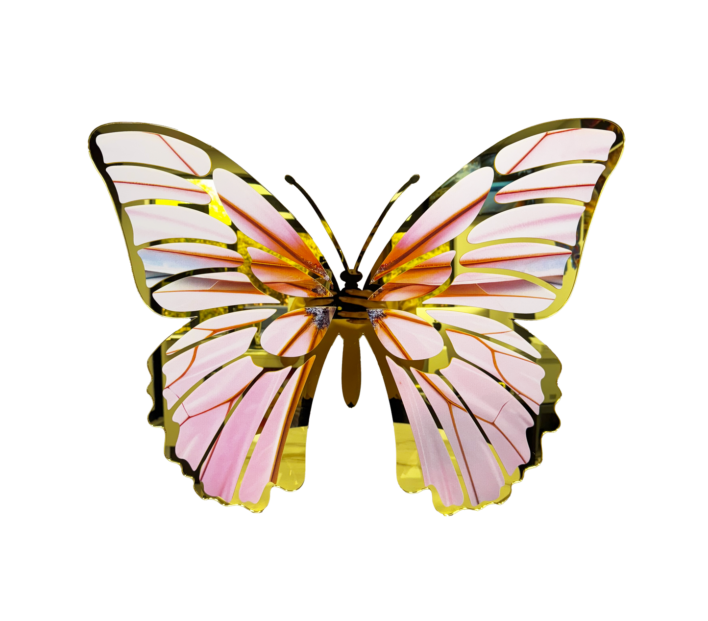 B-10 BUTTERFLY MIRROR DECOR