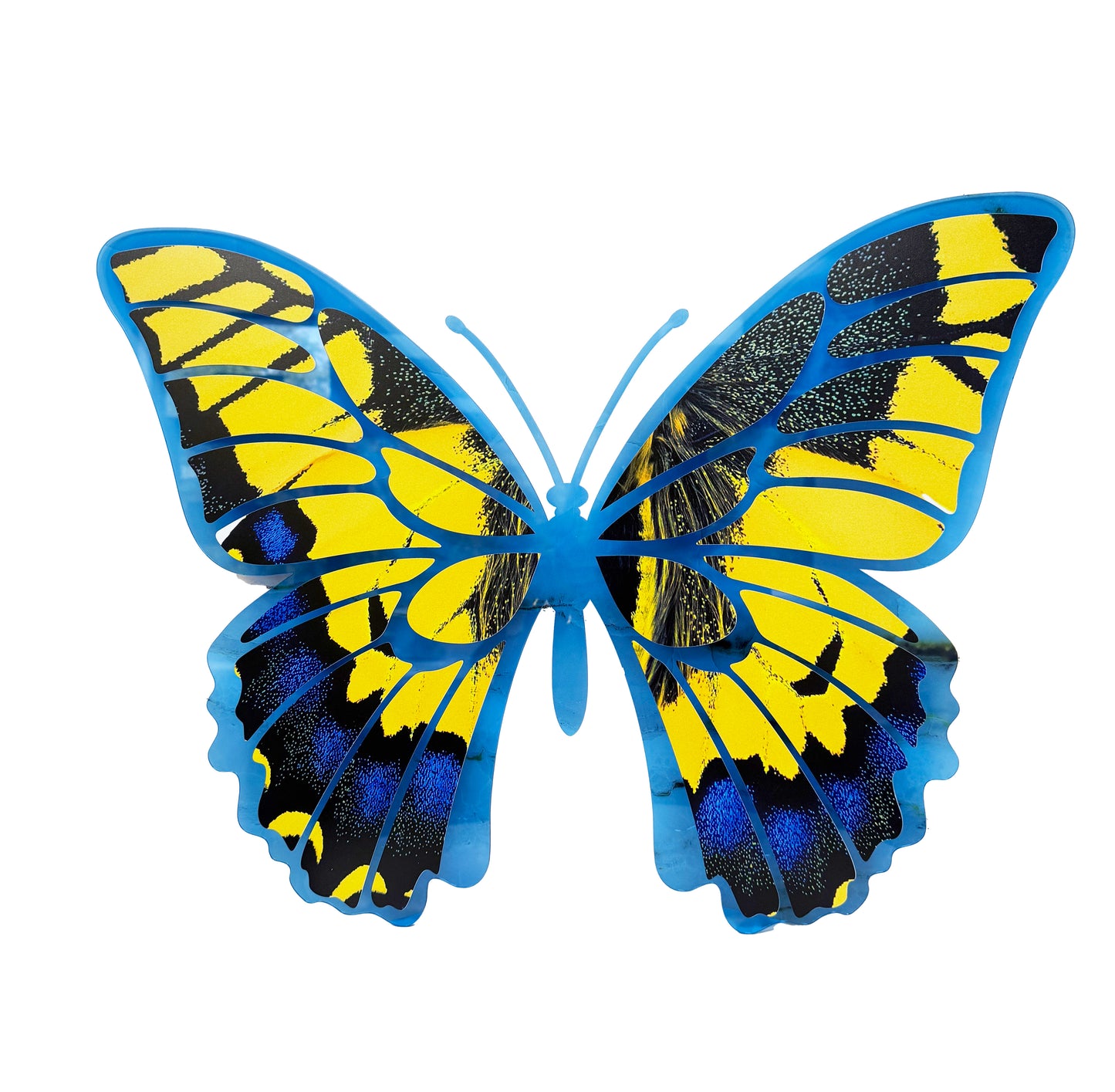 B-15 BUTTERFLY TRANSLUCENT DECOR