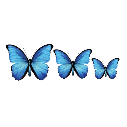 PALC-05 CIRCA 3D Butterfly Acrylic Prints Set of 3