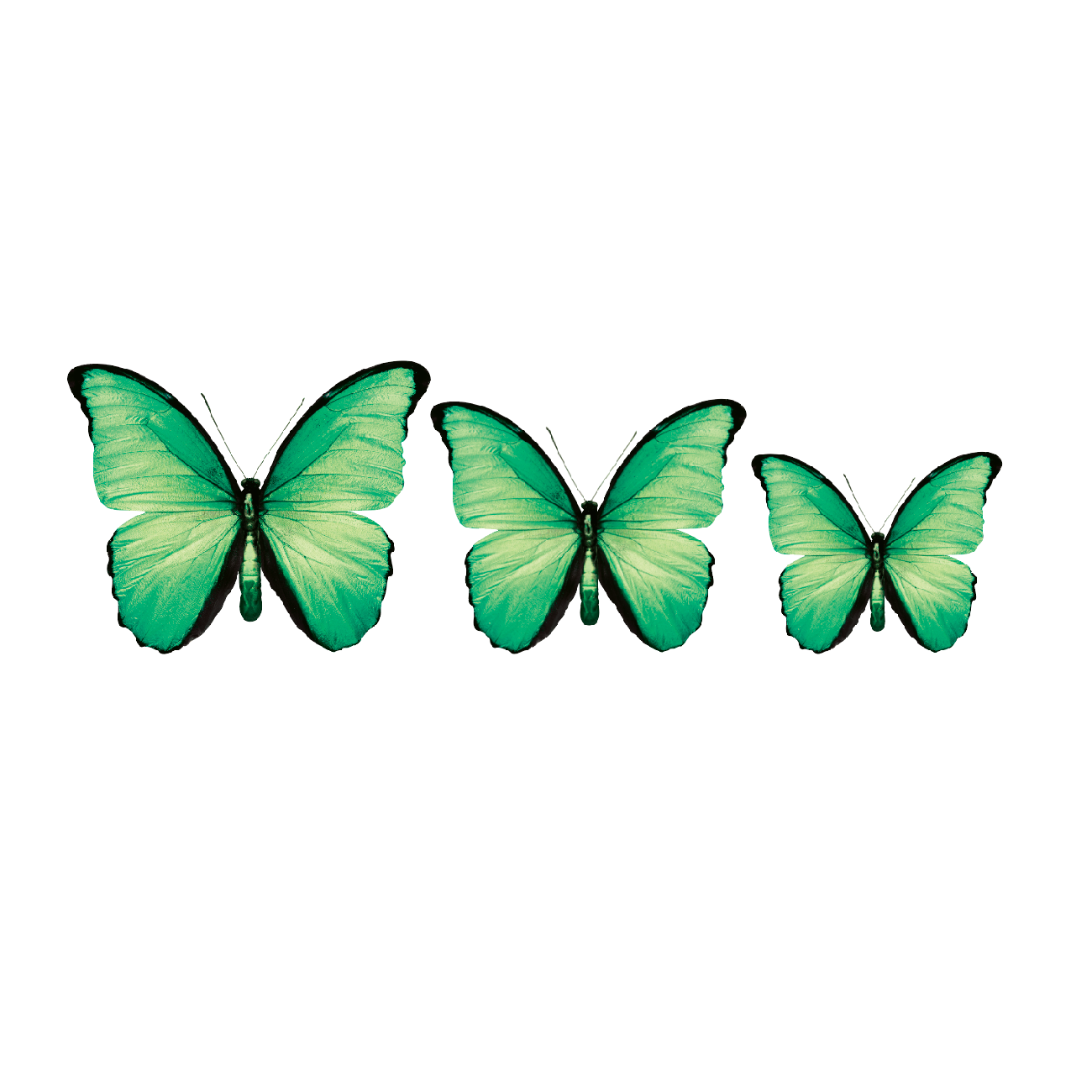 PALC-05 CIRCA 3D Butterfly Acrylic Prints Set of 3
