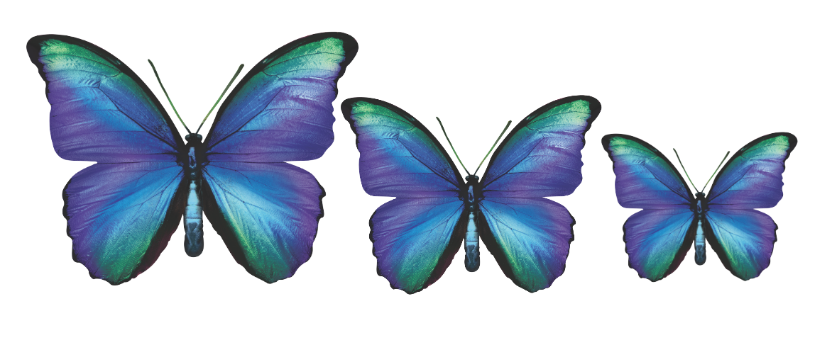 PALC-05 CIRCA 3D Butterfly Acrylic Prints Set of 3