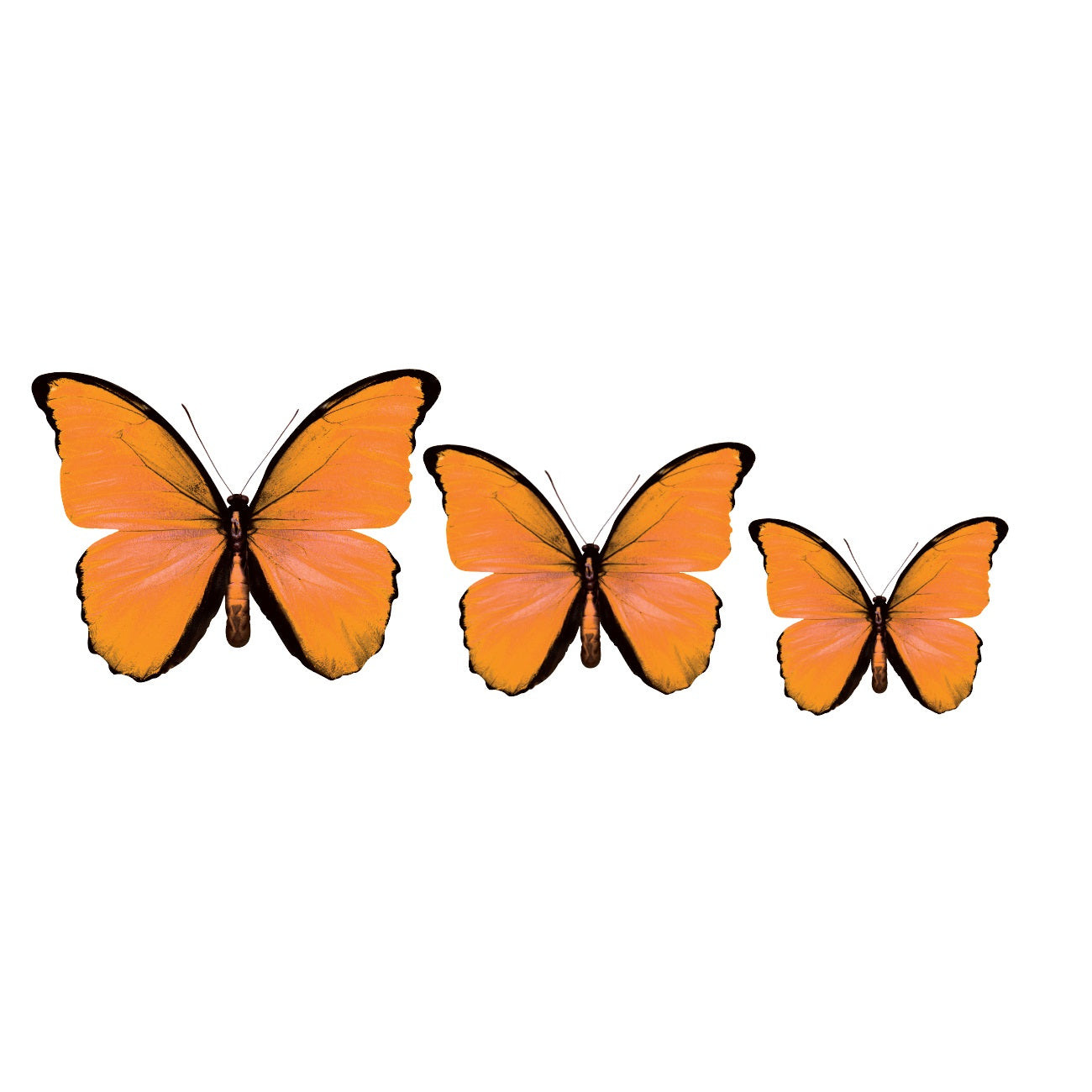 CIRCA 3D Orange Butterfly Acrylic Prints Set of 3