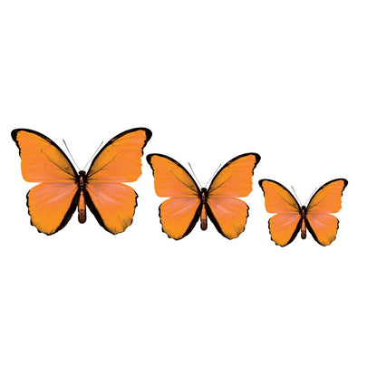 CIRCA 3D Orange Butterfly Acrylic Prints Set of 3