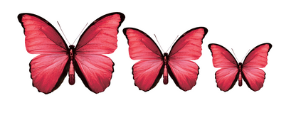 PALC-05 CIRCA 3D Red Butterfly Acrylic Prints Set of 3