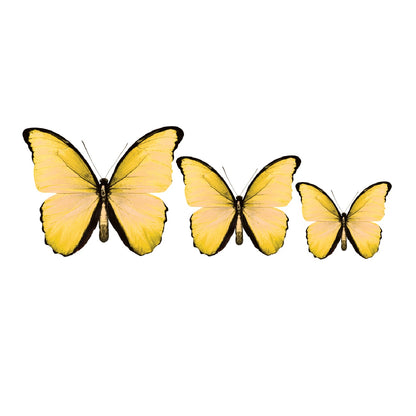 PALC-05 CIRCA 3D Yellow Butterfly Acrylic Prints Set of 3