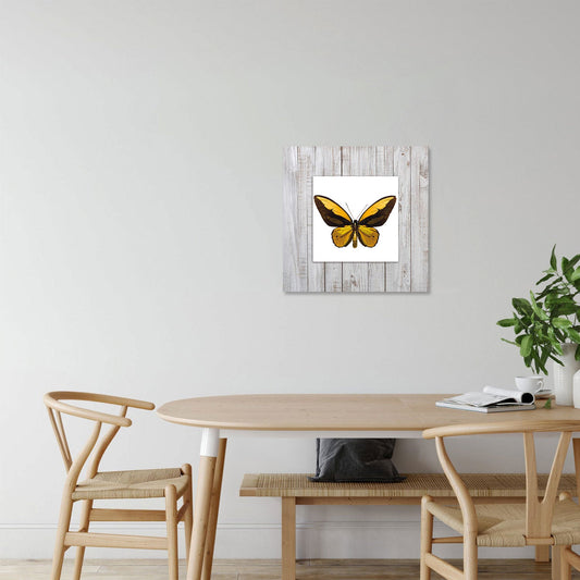 EXOR Butterfly with Background Fine Acrylic Wall Art