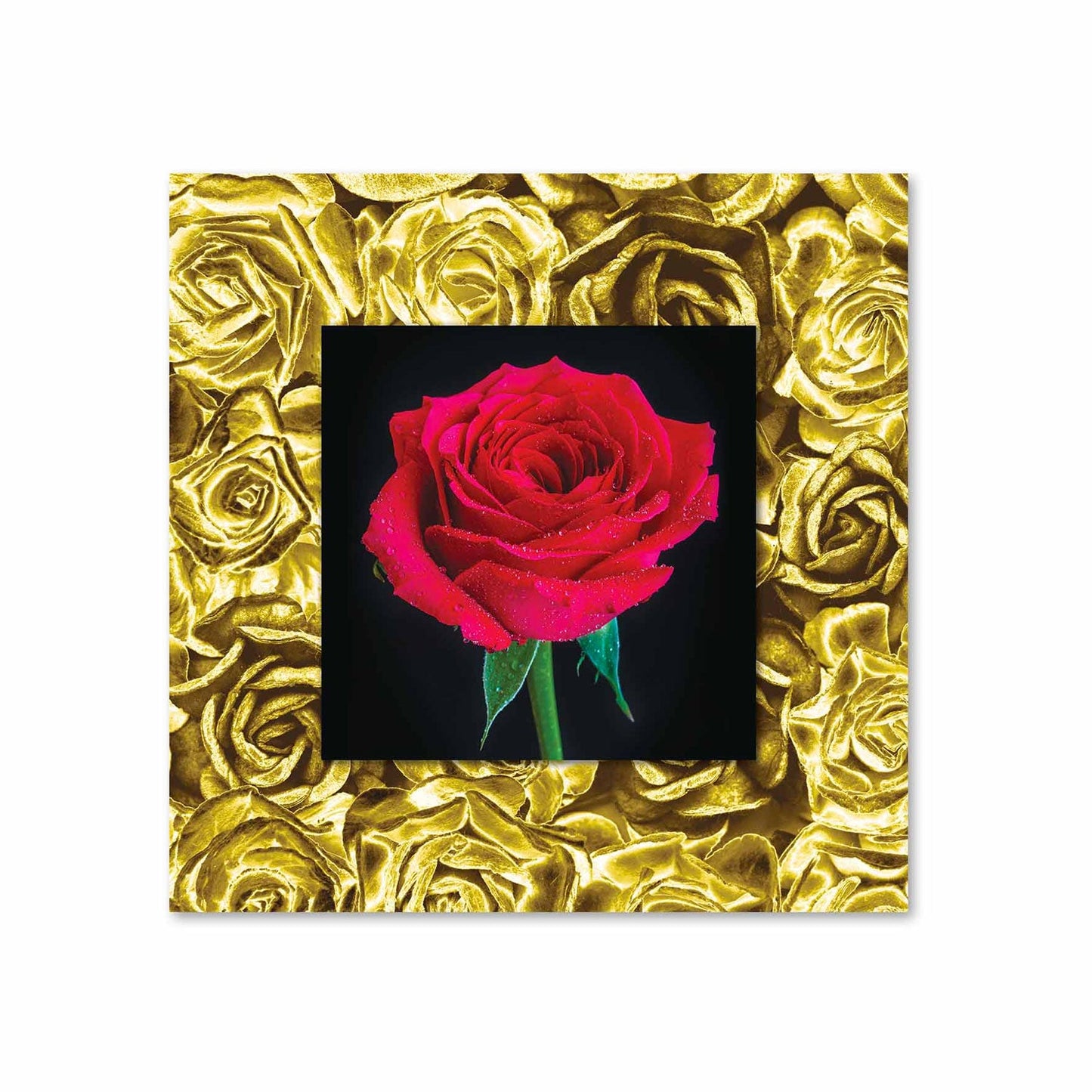 ZYLOS Red Rose with Background Fine Acrylic Wall Art