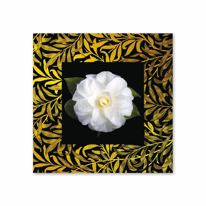 PYRON White Camellia with Background Miniature Fine Wall Art TG