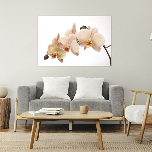 VANILLA Orchid Radiance Modern Acrylic Wall Art