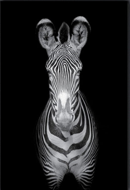 GREVY Zebra Mono Modern Acrylic Wall Art