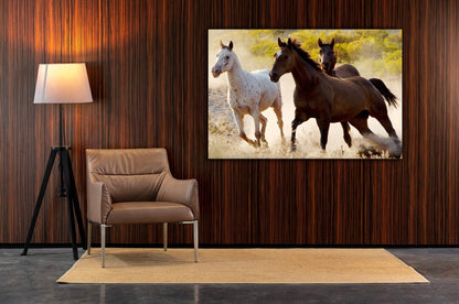 GALLOP Horse Running Modern Wall Art TG