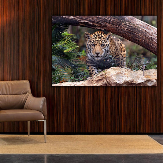 SAFARI Baby Jaguar Modern Acrylic Wall Art Print