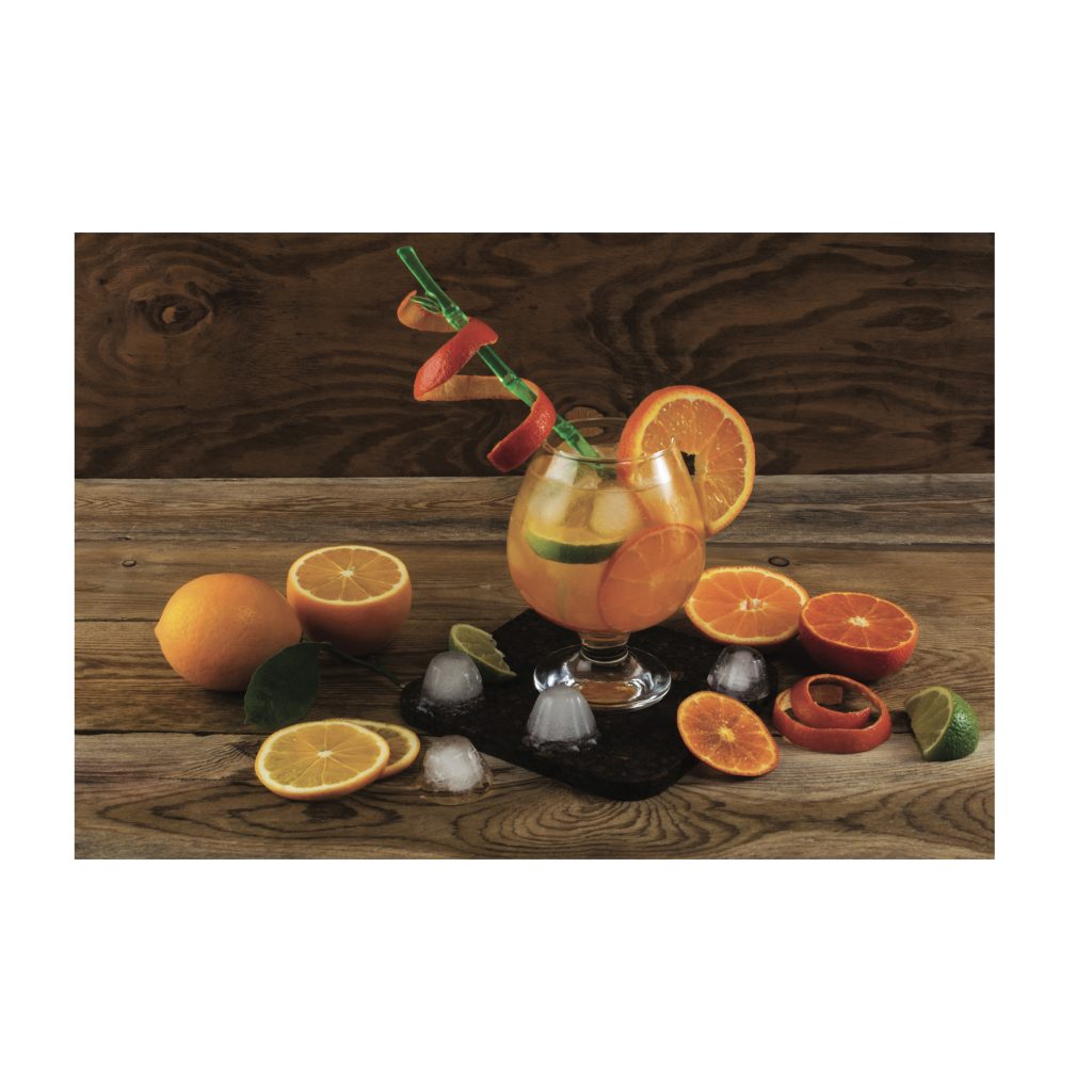 SUMMER Citrus Cocktail Modern Acrylic Wall Art