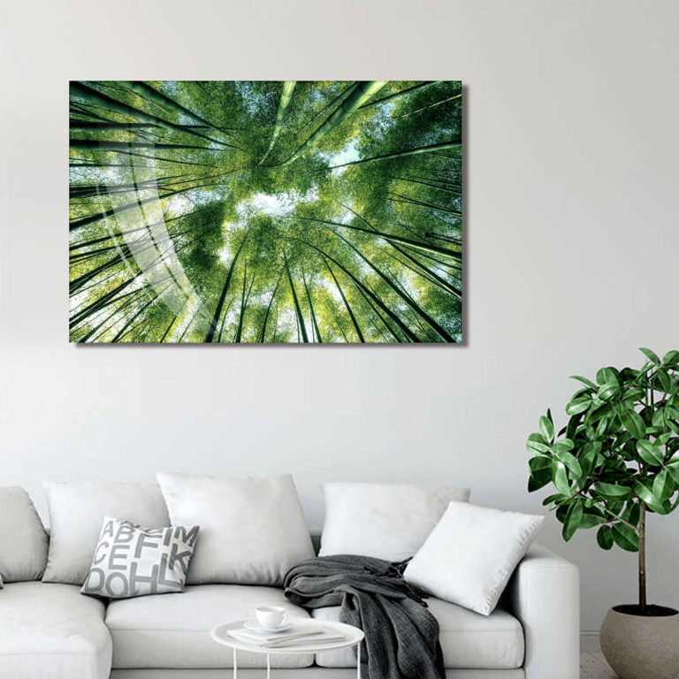 BAMBOO Forest Trees Acrylic Wall Art Print