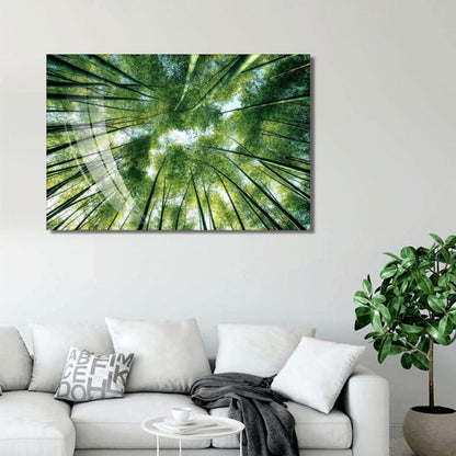 BAMBOO Forest Trees Wall Art Print TG