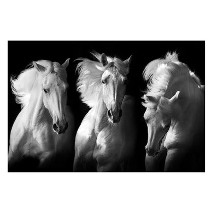 RAYE 3 White Horses Acrylic Wall Art Print