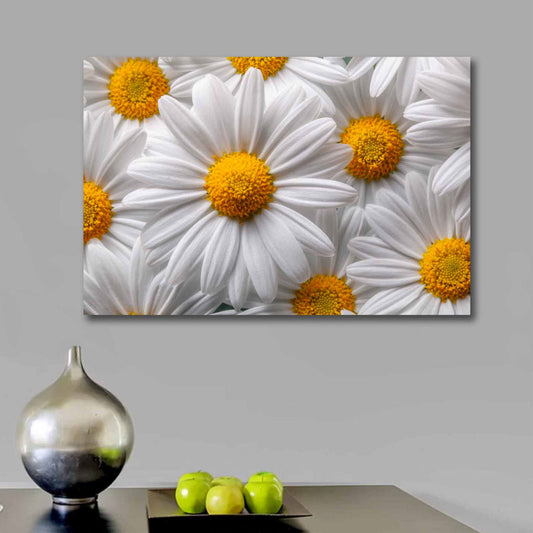 SUNNY White Daisy Modern Wall Art TG