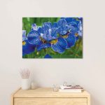 ORCHIDS Blue Flower Modern Wall Art TG