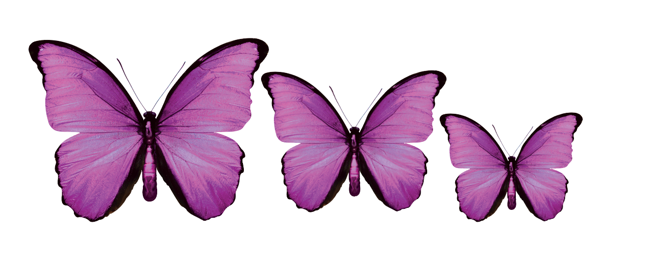 CIRCA 3D Violet Butterfly Acrylic Prints Set of 3