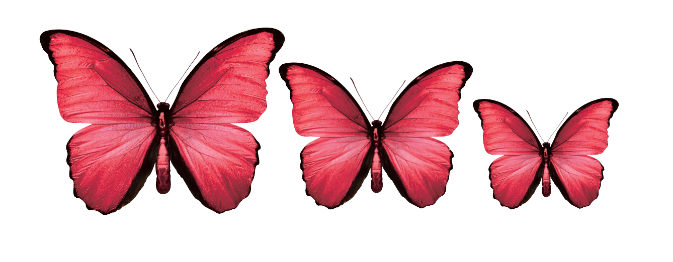 CIRCA 3D Red Butterfly Acrylic Prints Set of 3