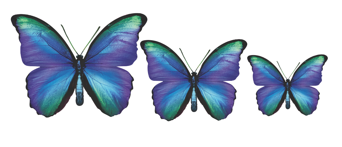 CIRCA 3D Multicolor Butterfly Acrylic Prints Set of 3