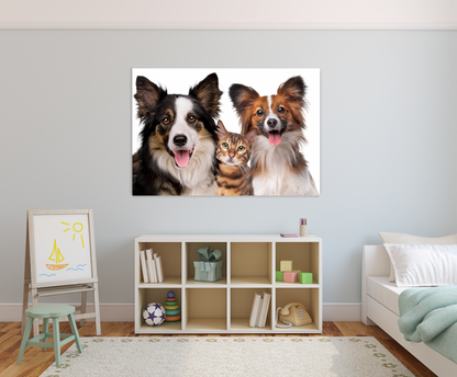 FLINT Border Collie & Cat Acrylic Wall Art Print