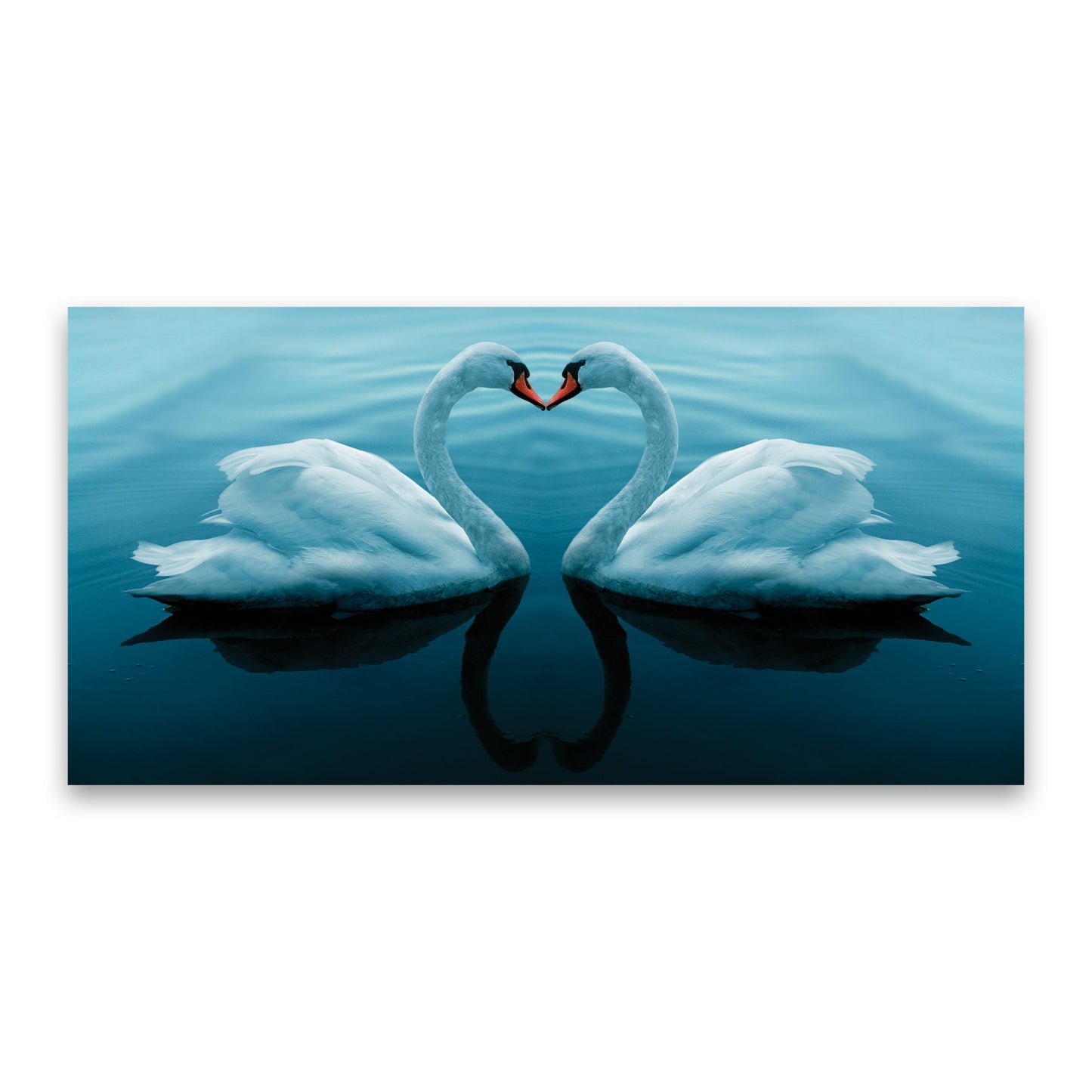 SWAN Whispers of Love Modern Wall Art TG